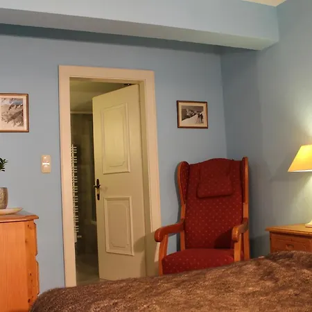 Apartment Kitz City & *